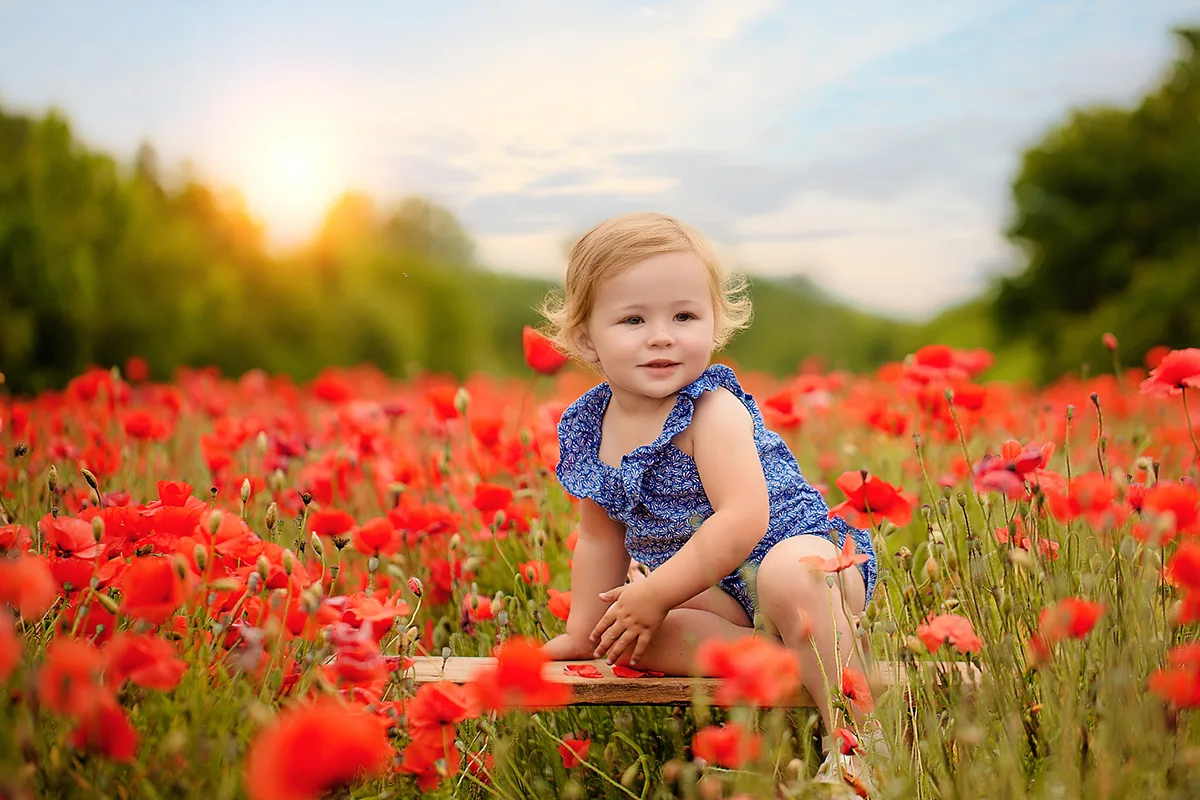 Petite fille assise dans un champ de coquelicots au coucher du soleil lors d’une séance photo en Provence.