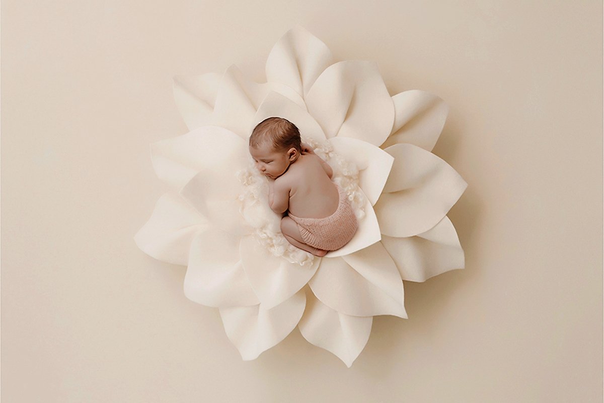 Nouveau-né endormi au cœur d’une grande fleur blanche lors d’une séance photo naissance artistique en studio.